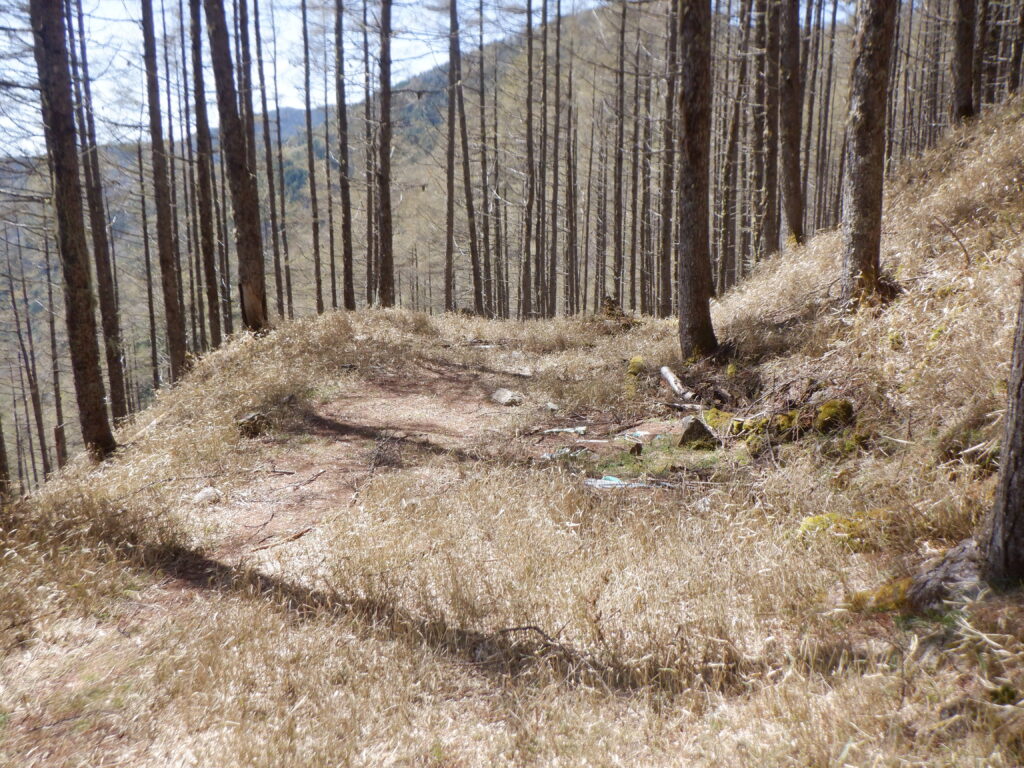 水場近くのテン場適地