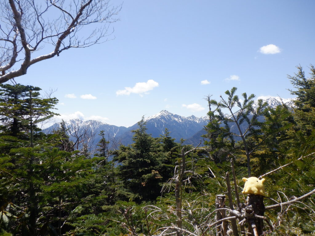 天上小屋山手前の見晴台。山頂ではない。