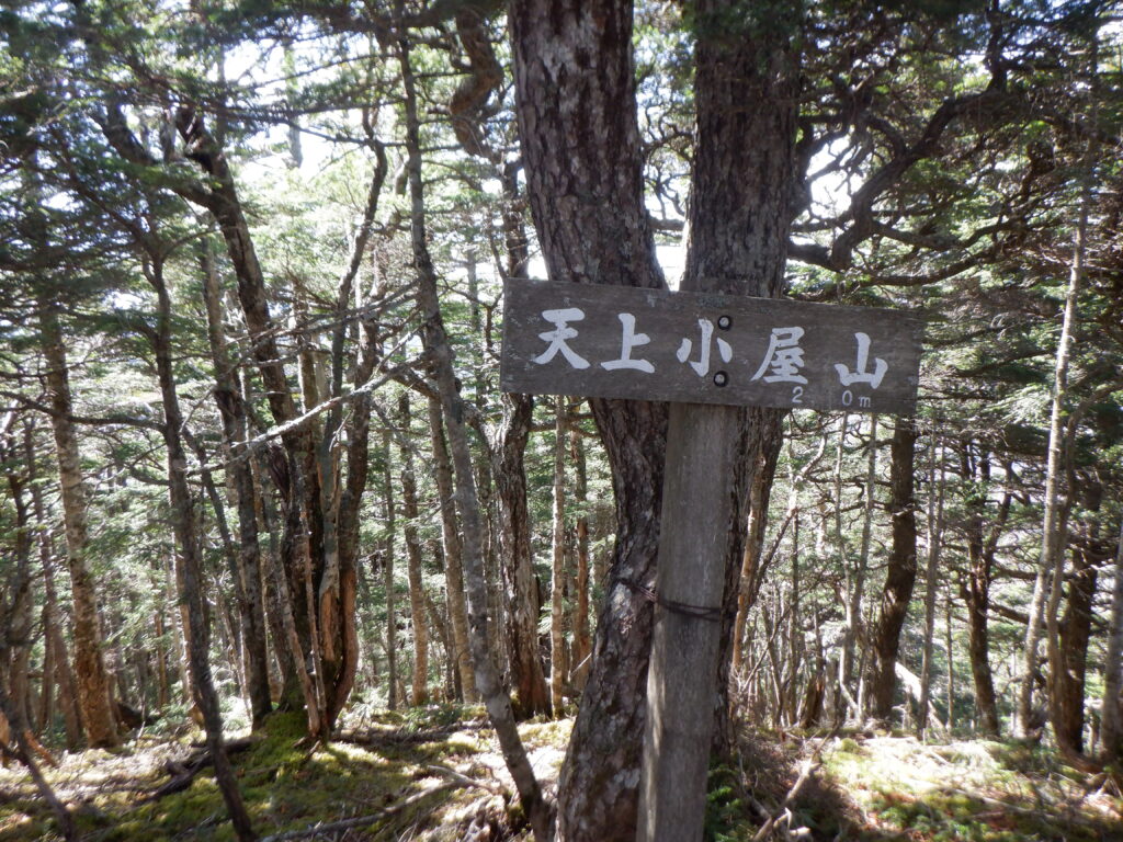 天上小屋山山頂　展望なし