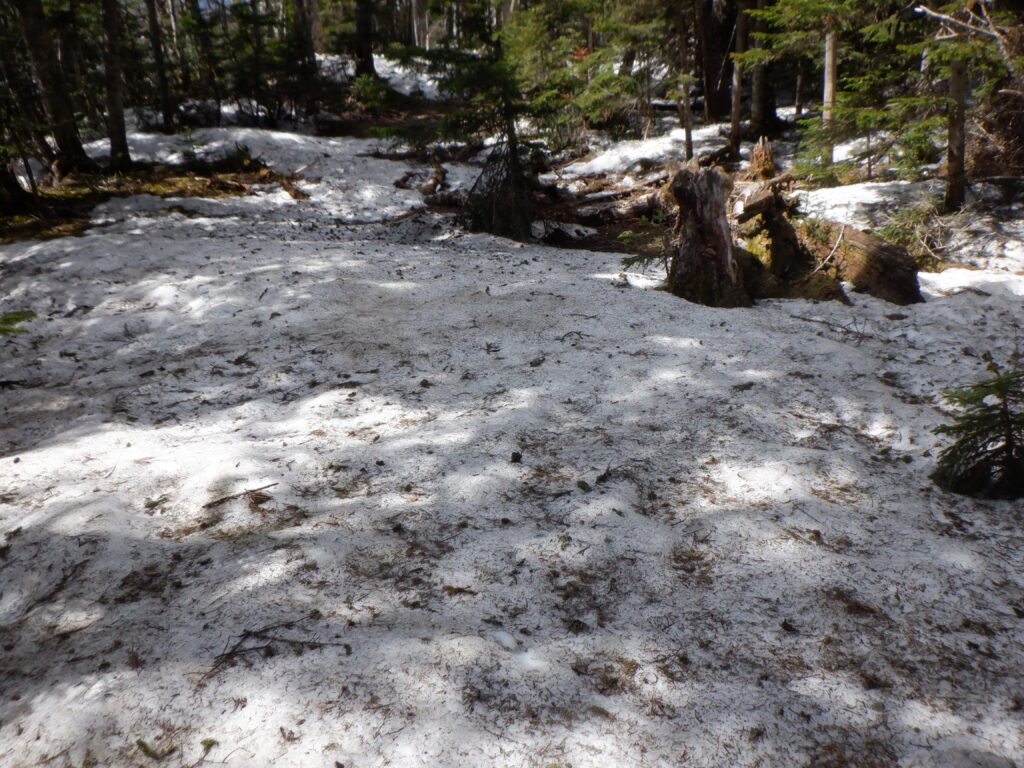 生木割山山頂手前の残雪　