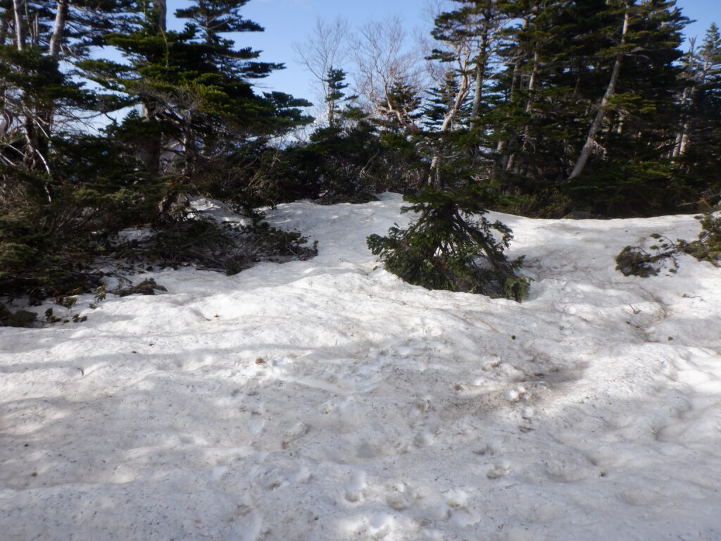 雪が溶ければこのスペースはテン場となります。