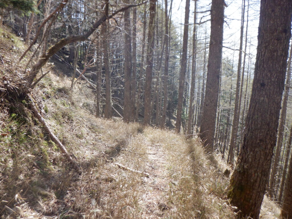 1,700mこえた登山道の様子