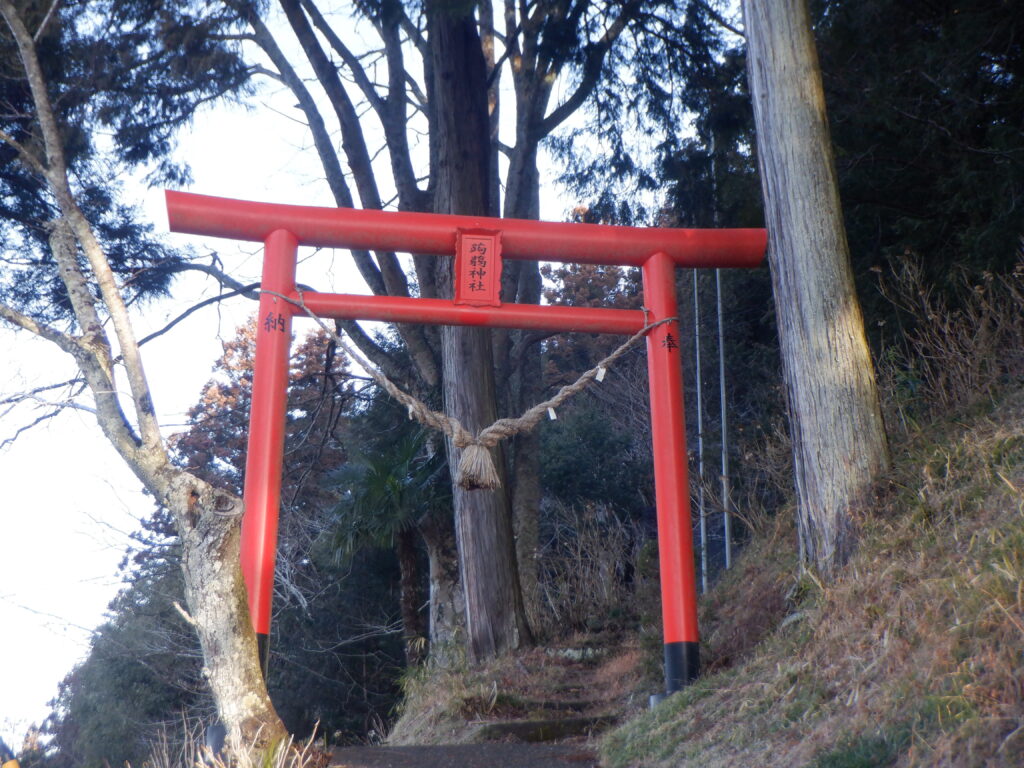 蒟蒻神社の鳥居