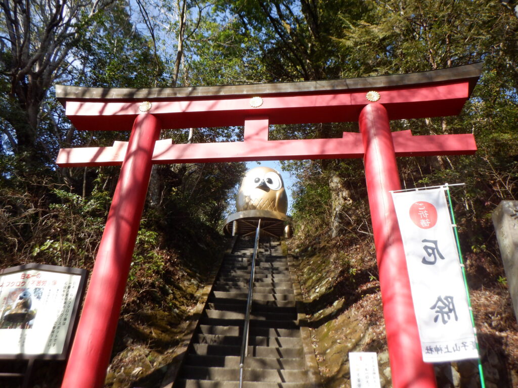 幸福を運ぶ大きなふくろう　下から見上げる図