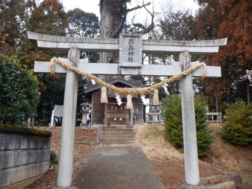 参道の奥に鳥居、その奥に目当ての佐久の大杉