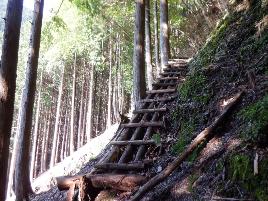 登山道途中の丸太階段