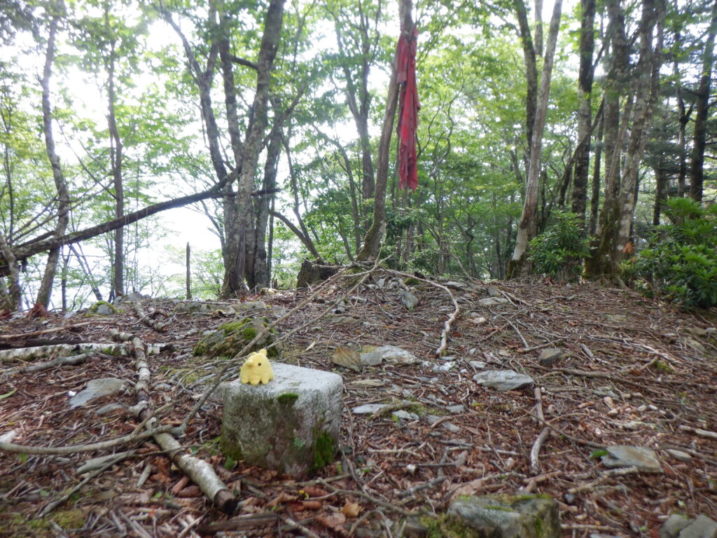 金木ノ頭。山頂には三角点と赤い手ぬぐいの目印がありました。展望はありませんが木陰でゆっくり休めます。