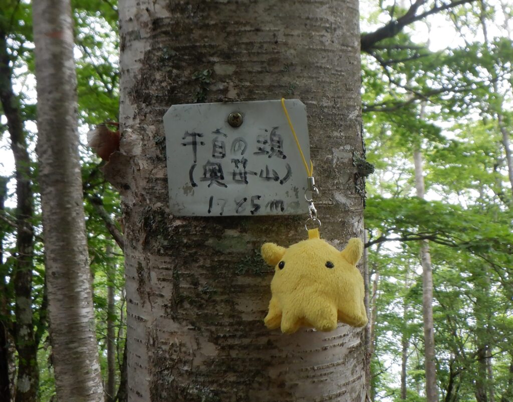 奥笹山の山頂標識