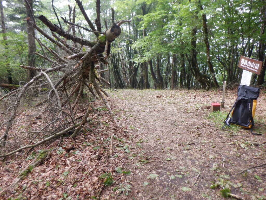 熊森山全景　地味　展望なし